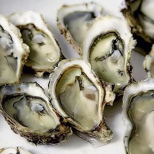 Box of Oysters (40)