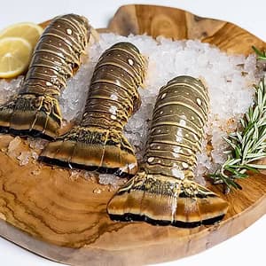 Lobster Tail
